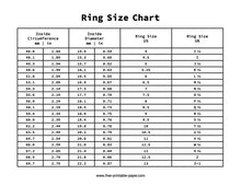 Load image into Gallery viewer, Dried Herb Bundle Ring 10US, Amethyst, Sterling silver.
